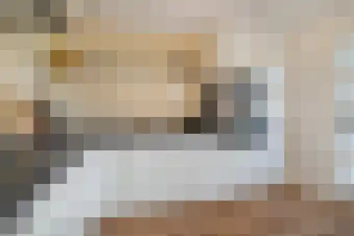 Dr. Schaepmanlaan 6 Zwolle thumbnail 18