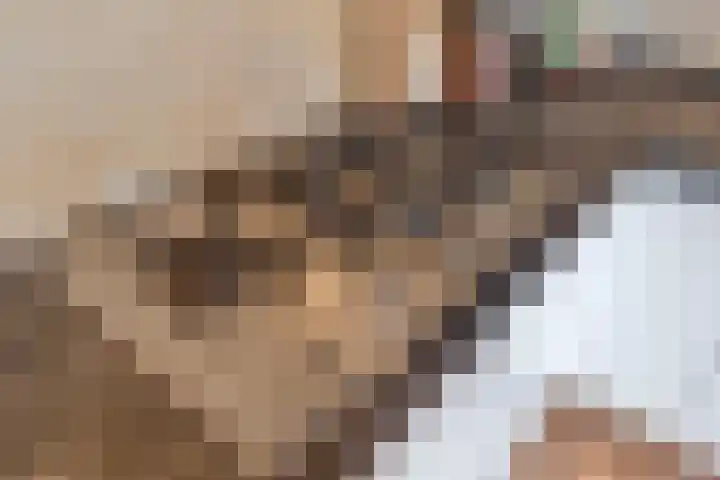 Dr. Schaepmanlaan 6 Zwolle thumbnail 19