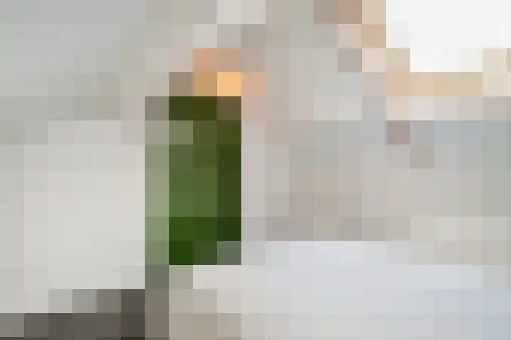 Dr. Schaepmanlaan 6 Zwolle thumbnail 33
