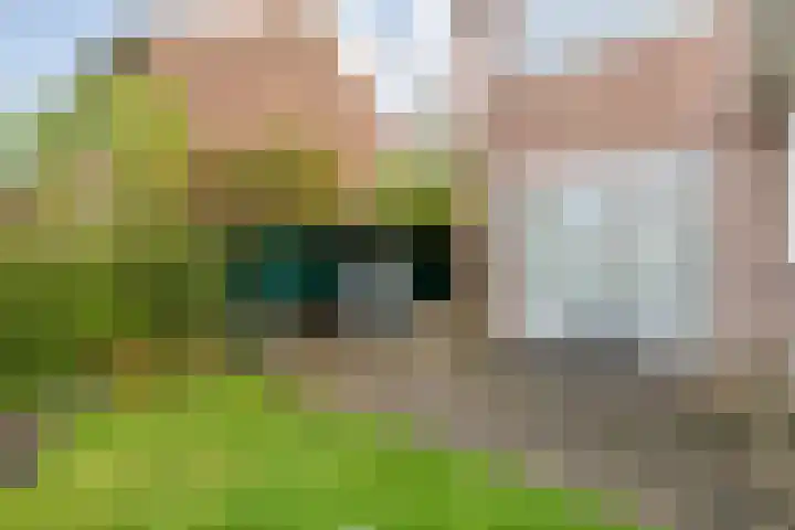 Dr. Schaepmanlaan 6 Zwolle thumbnail 34