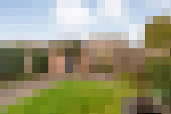 Dr. Schaepmanlaan 6 Zwolle thumbnail 37
