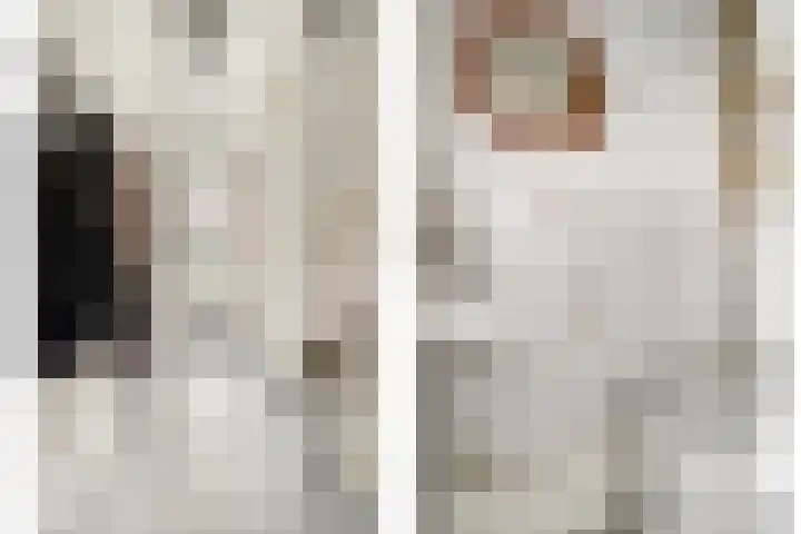Dr. Schaepmanlaan 6 Zwolle thumbnail 6