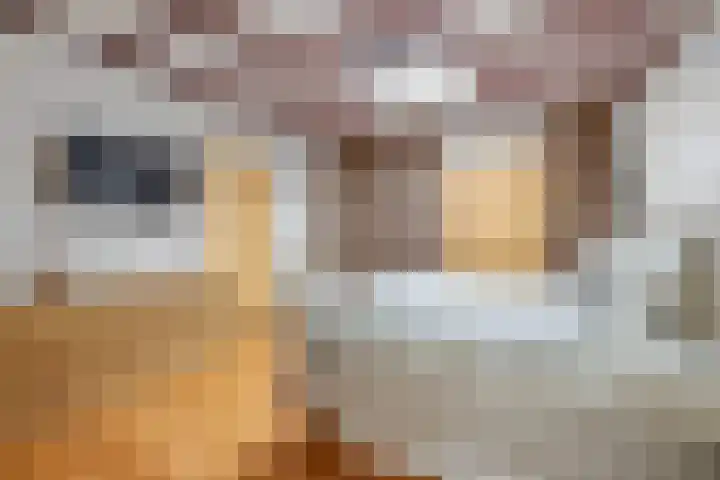 dr. Schaepmanlaan 63 A Bussum thumbnail 11