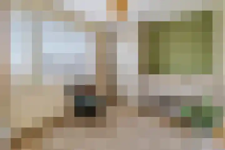 dr. Schaepmanlaan 63 A Bussum thumbnail 16
