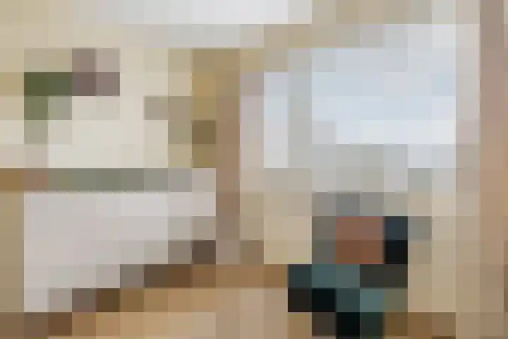 dr. Schaepmanlaan 63 A Bussum thumbnail 17