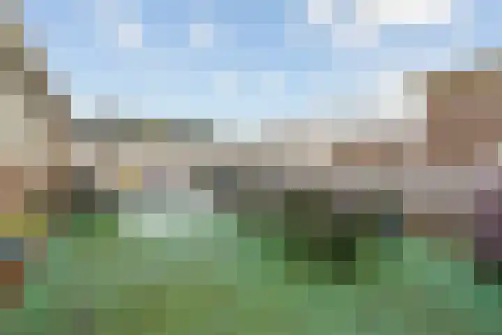 dr. Schaepmanlaan 63 A Bussum thumbnail 18