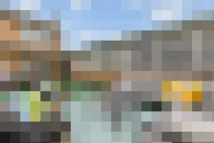 dr. Schaepmanlaan 63 A Bussum thumbnail 20