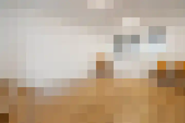 dr. Schaepmanlaan 63 A Bussum thumbnail 24