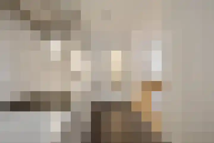 dr. Schaepmanlaan 63 A Bussum thumbnail 25