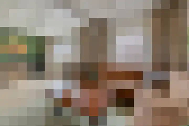 dr. Schaepmanlaan 63 A Bussum thumbnail 5