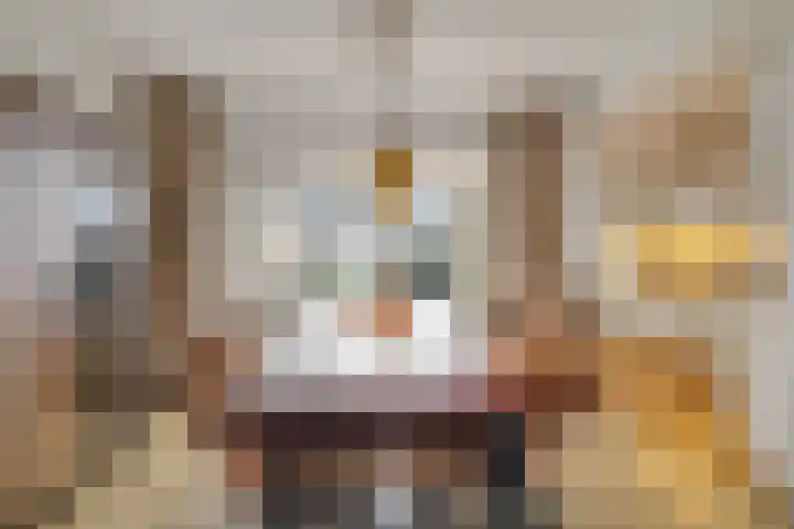 dr. Schaepmanlaan 63 A Bussum thumbnail 8