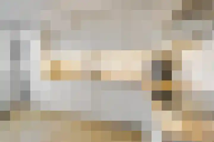 dr. Schaepmanlaan 63 A Bussum thumbnail 9