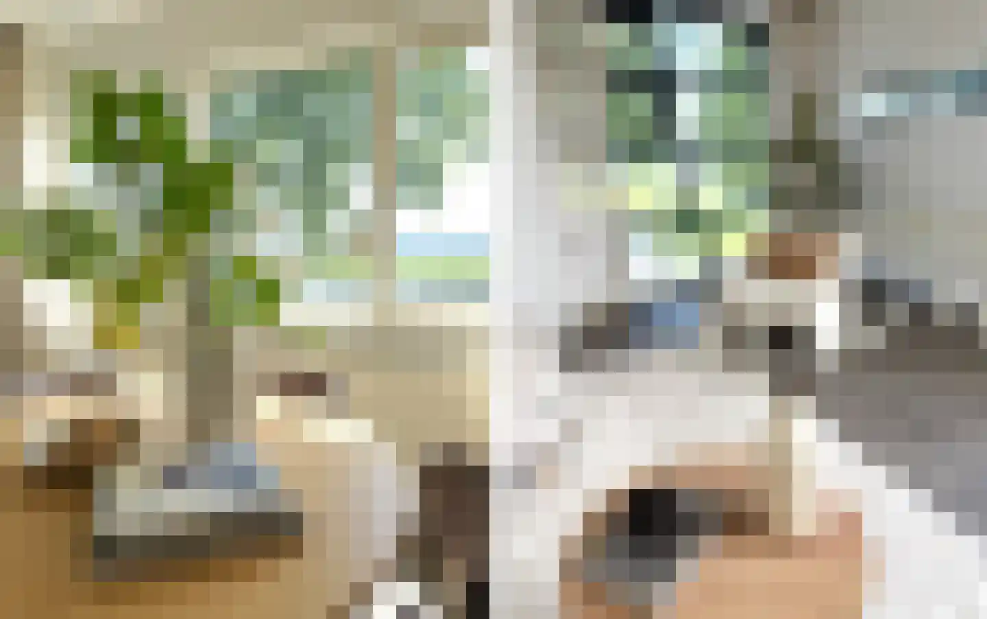 Dr. Schaepmanlaan 64 A Heemstede thumbnail 11