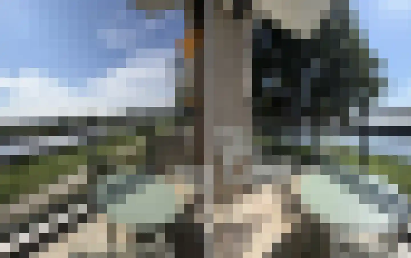 Dr. Schaepmanlaan 64 A Heemstede thumbnail 18