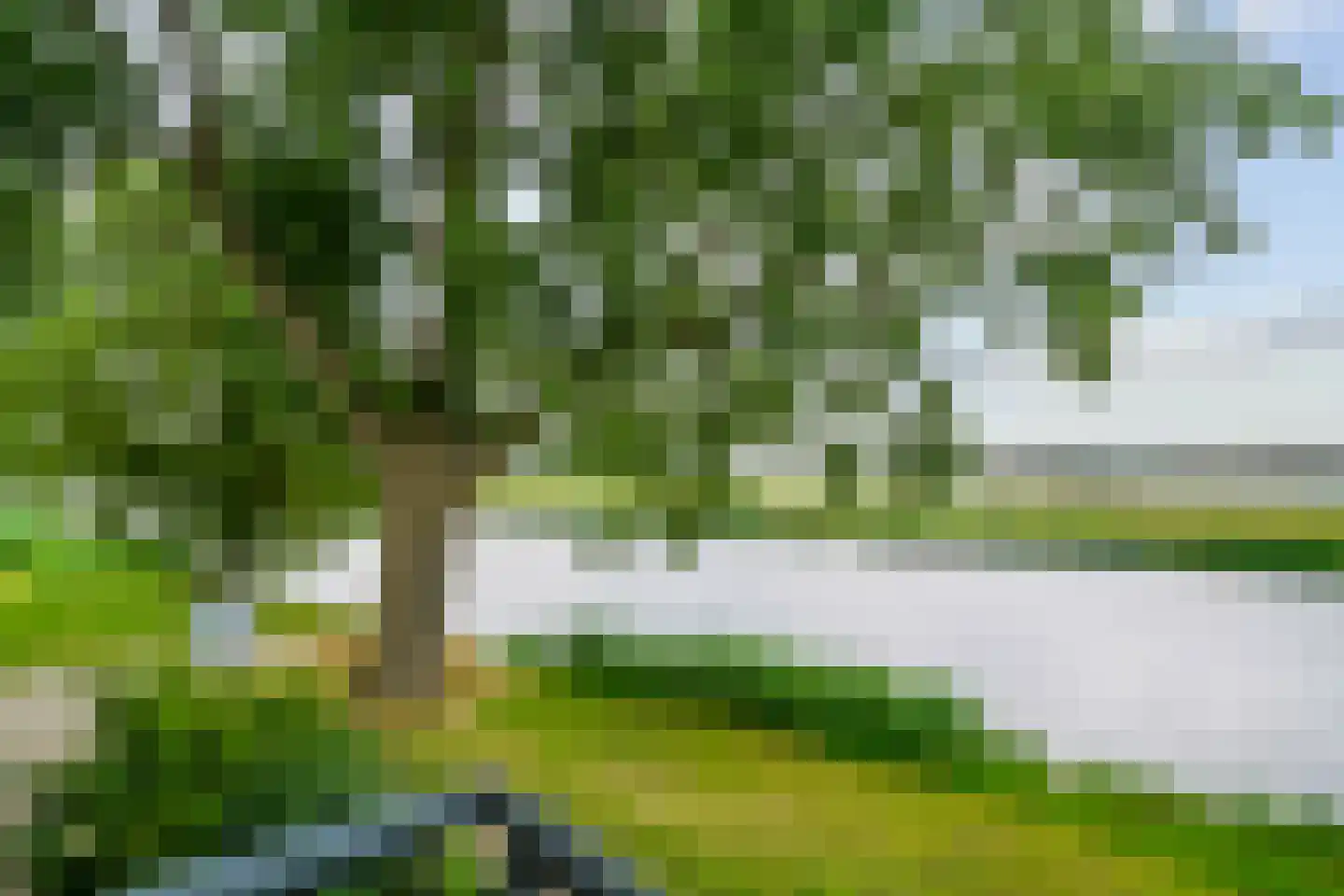 Dr. Schaepmanlaan 64 A Heemstede thumbnail 39