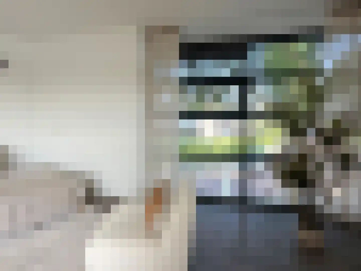 Dr. Schaepmanlaan 64 A Heemstede thumbnail 8