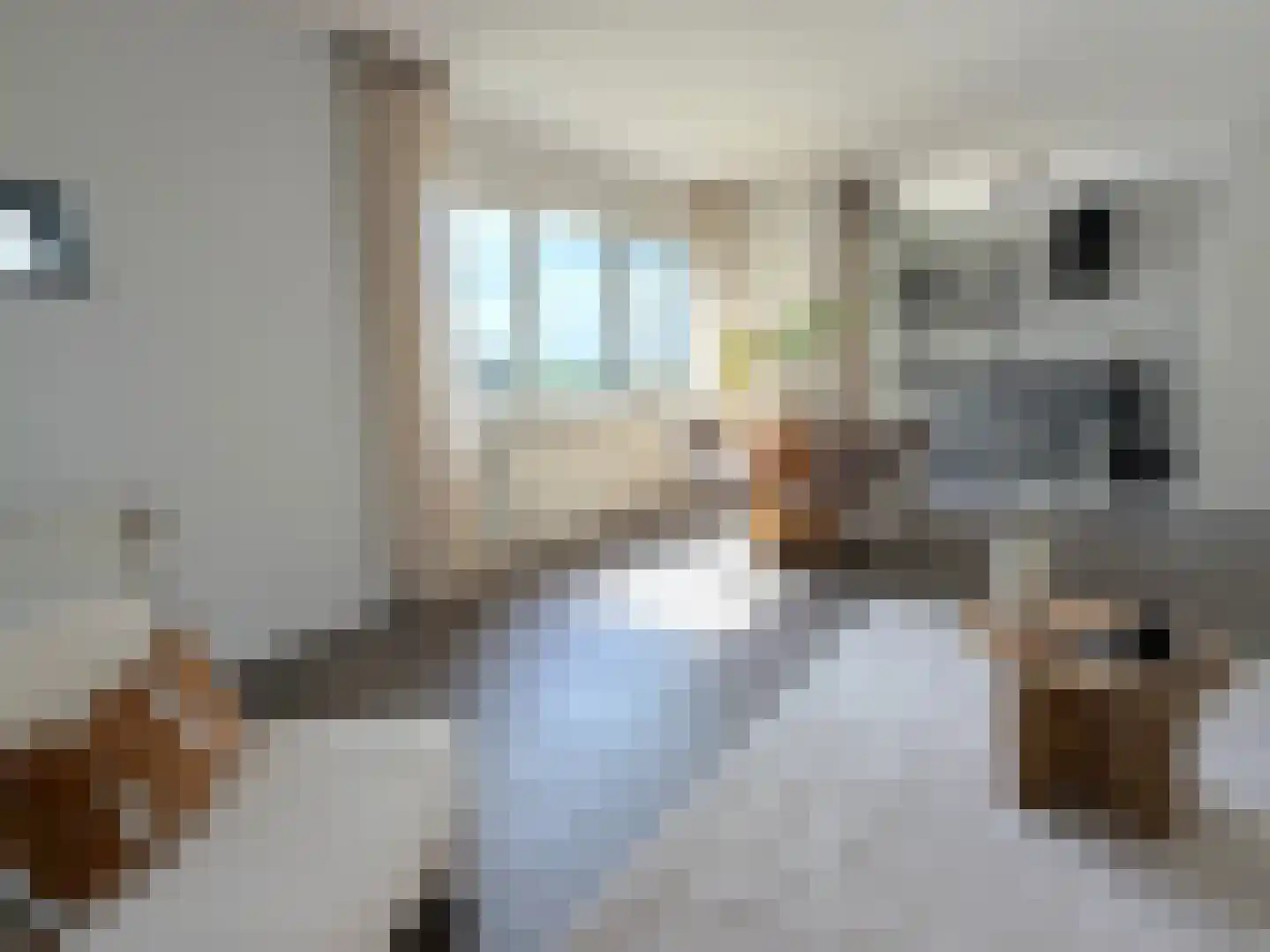 Dr. Schaepmanlaan 64 A Heemstede thumbnail 9