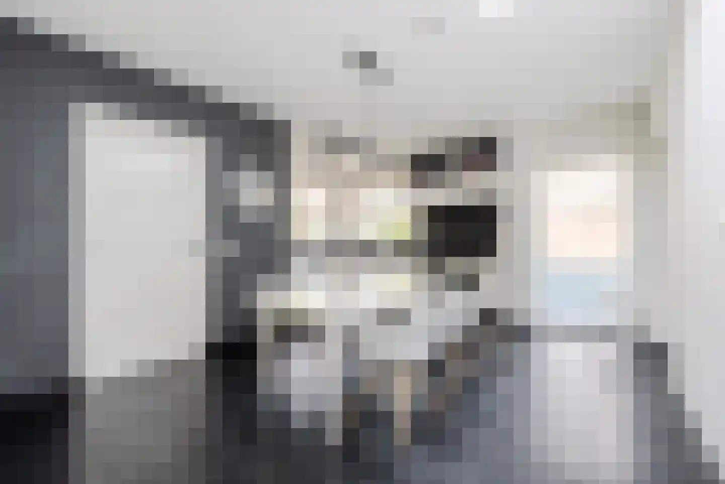 Dr. Schaepmanlaan 7 Veghel thumbnail 14