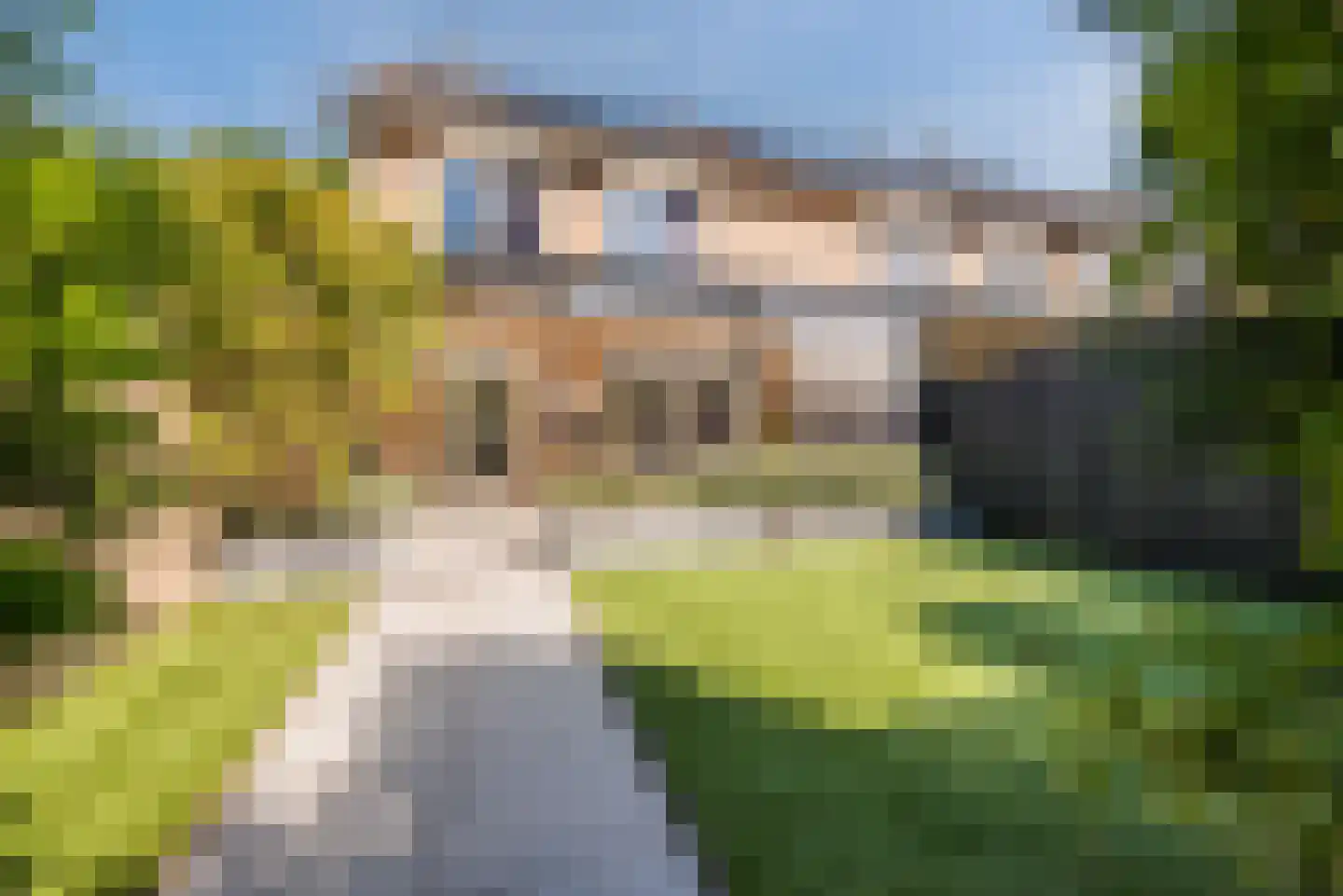 Dr. Schaepmanlaan 7 Veghel foto 2