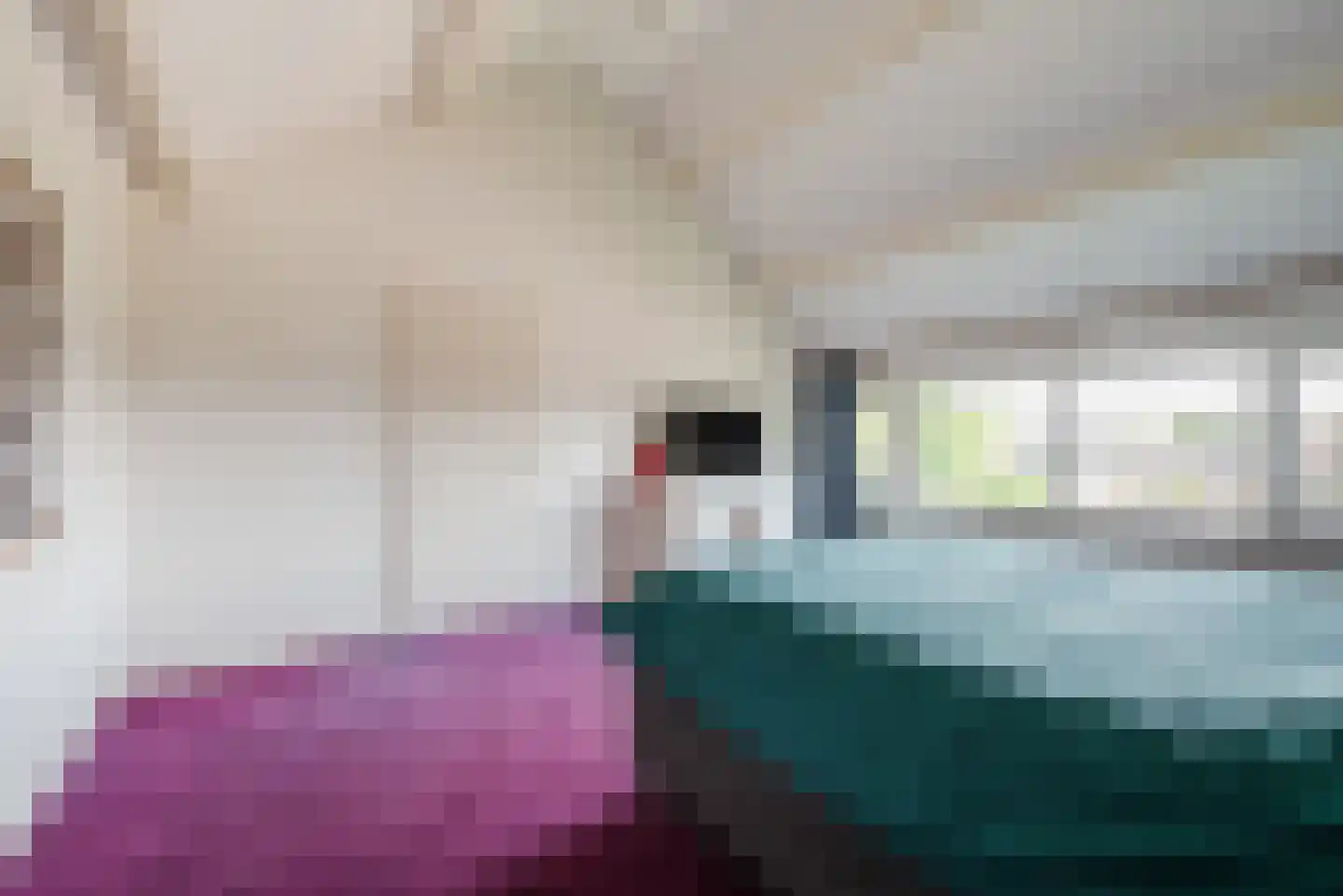 Dr. Schaepmanlaan 7 Veghel thumbnail 26