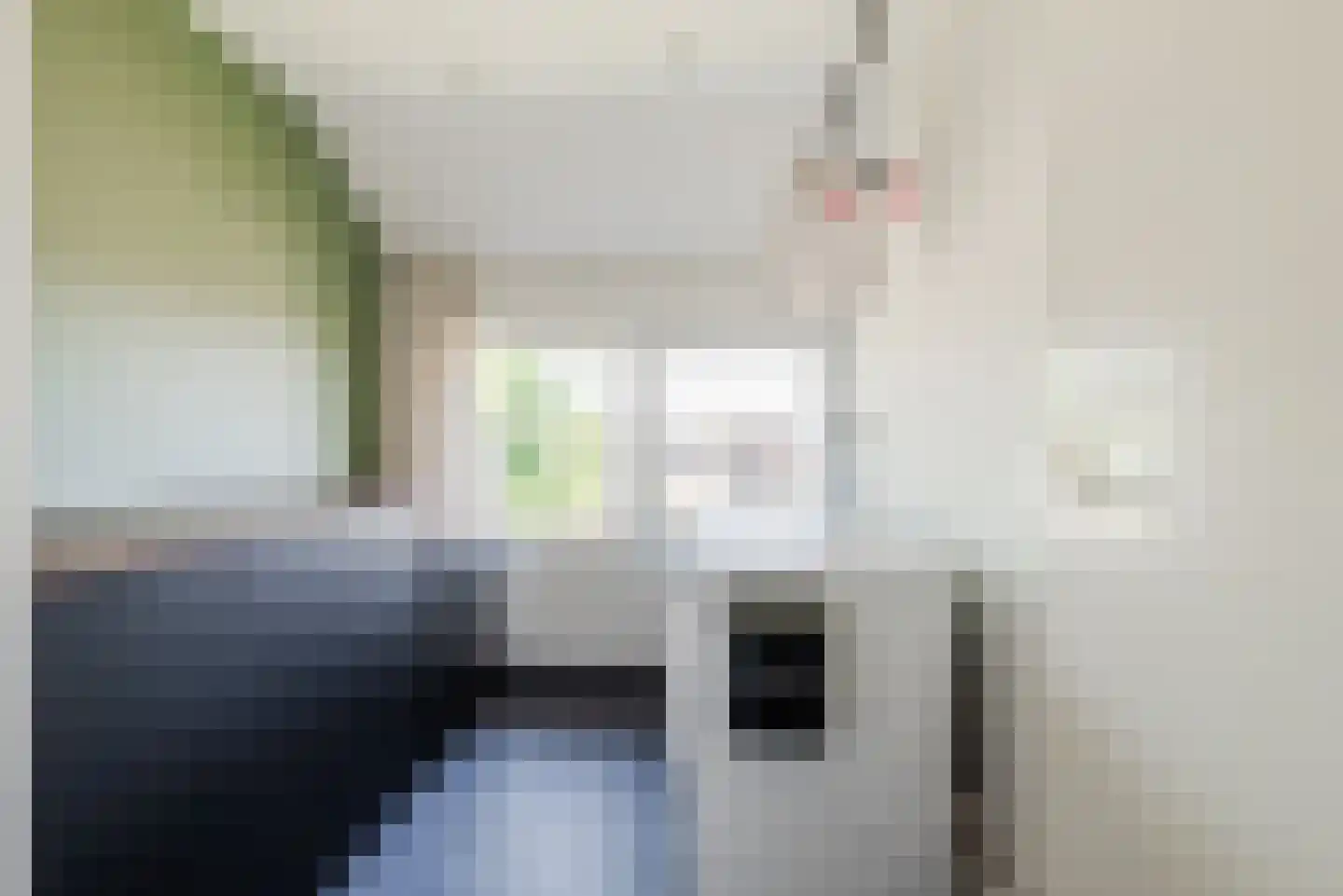 Dr. Schaepmanlaan 7 Veghel thumbnail 27