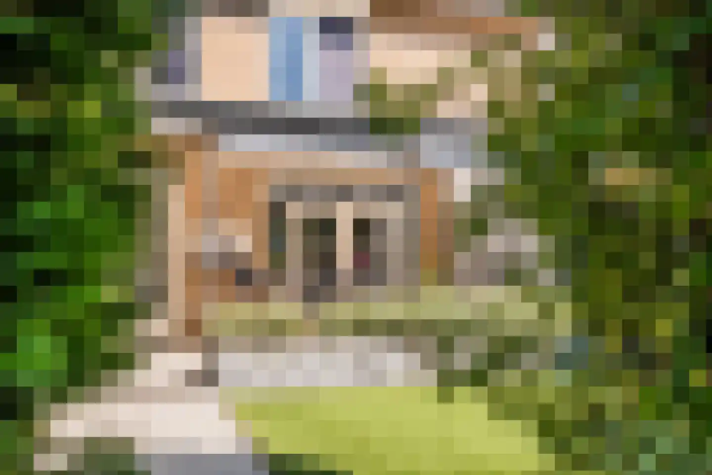 Dr. Schaepmanlaan 7 Veghel thumbnail 29