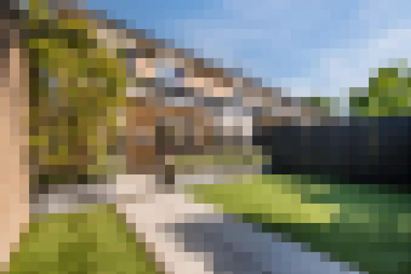 Dr. Schaepmanlaan 7 Veghel thumbnail 31
