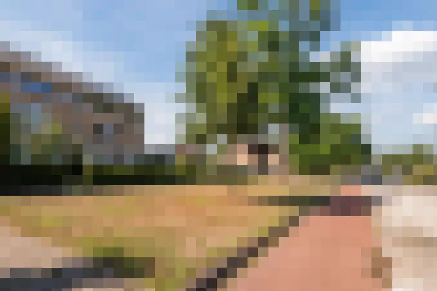 Dr. Schaepmanlaan 7 Veghel thumbnail 33