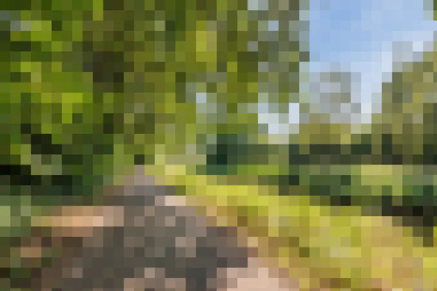 Dr. Schaepmanlaan 7 Veghel thumbnail 34