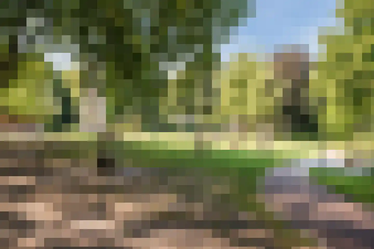 Dr. Schaepmanlaan 7 Veghel thumbnail 36