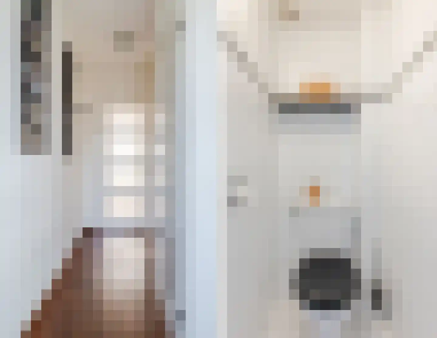 Dr. Schaepmanlaan 7 Veghel thumbnail 6