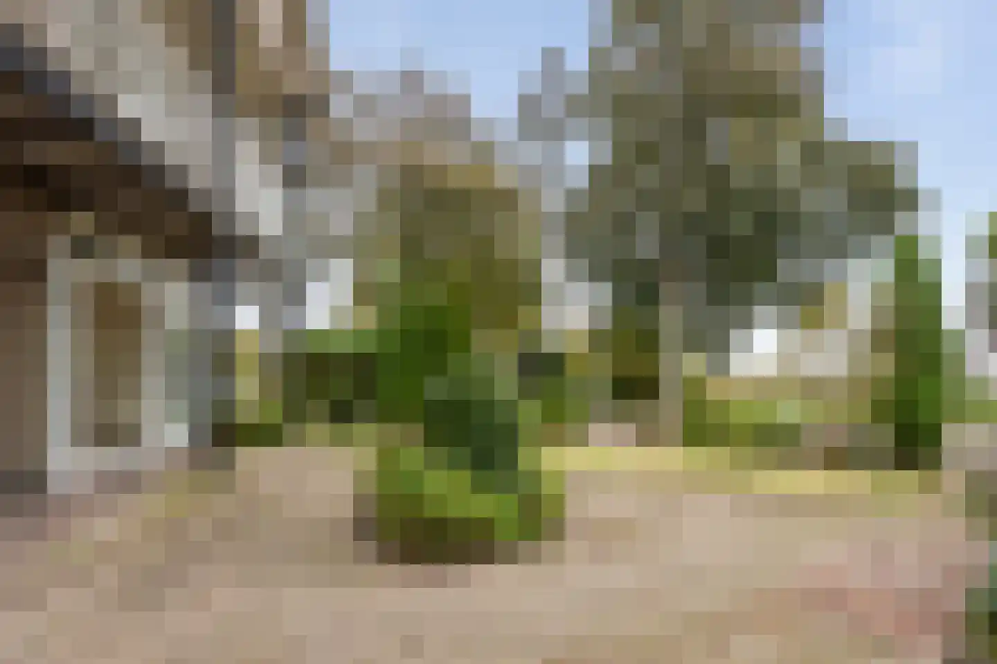 Dr. Schaepmanlaan 71 Heemstede thumbnail 15