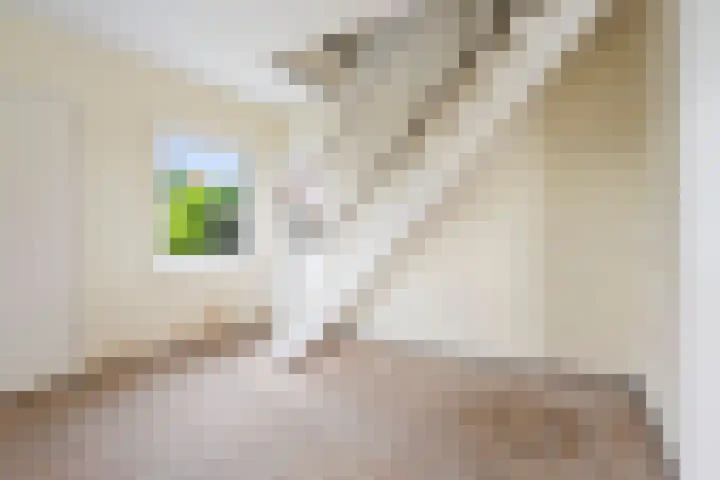 Dr. Schaepmanlaan 71 Heemstede thumbnail 19