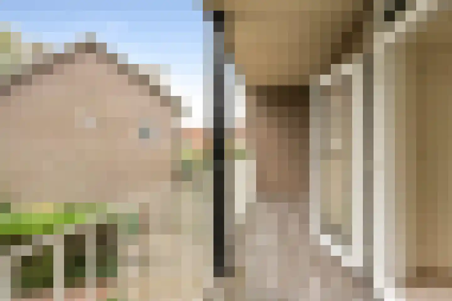 Dr. Schaepmanlaan 71 Heemstede thumbnail 38