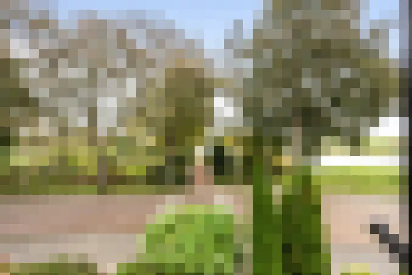 Dr. Schaepmanlaan 71 Heemstede thumbnail 40
