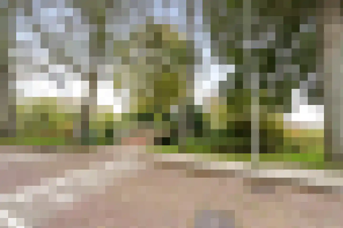 Dr. Schaepmanlaan 71 Heemstede thumbnail 41