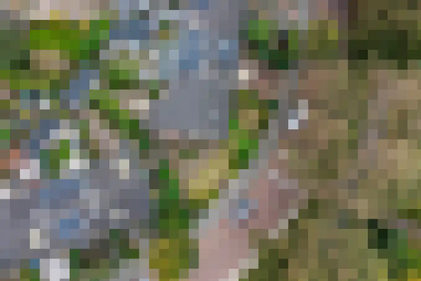 Dr. Schaepmanlaan 71 Heemstede thumbnail 62