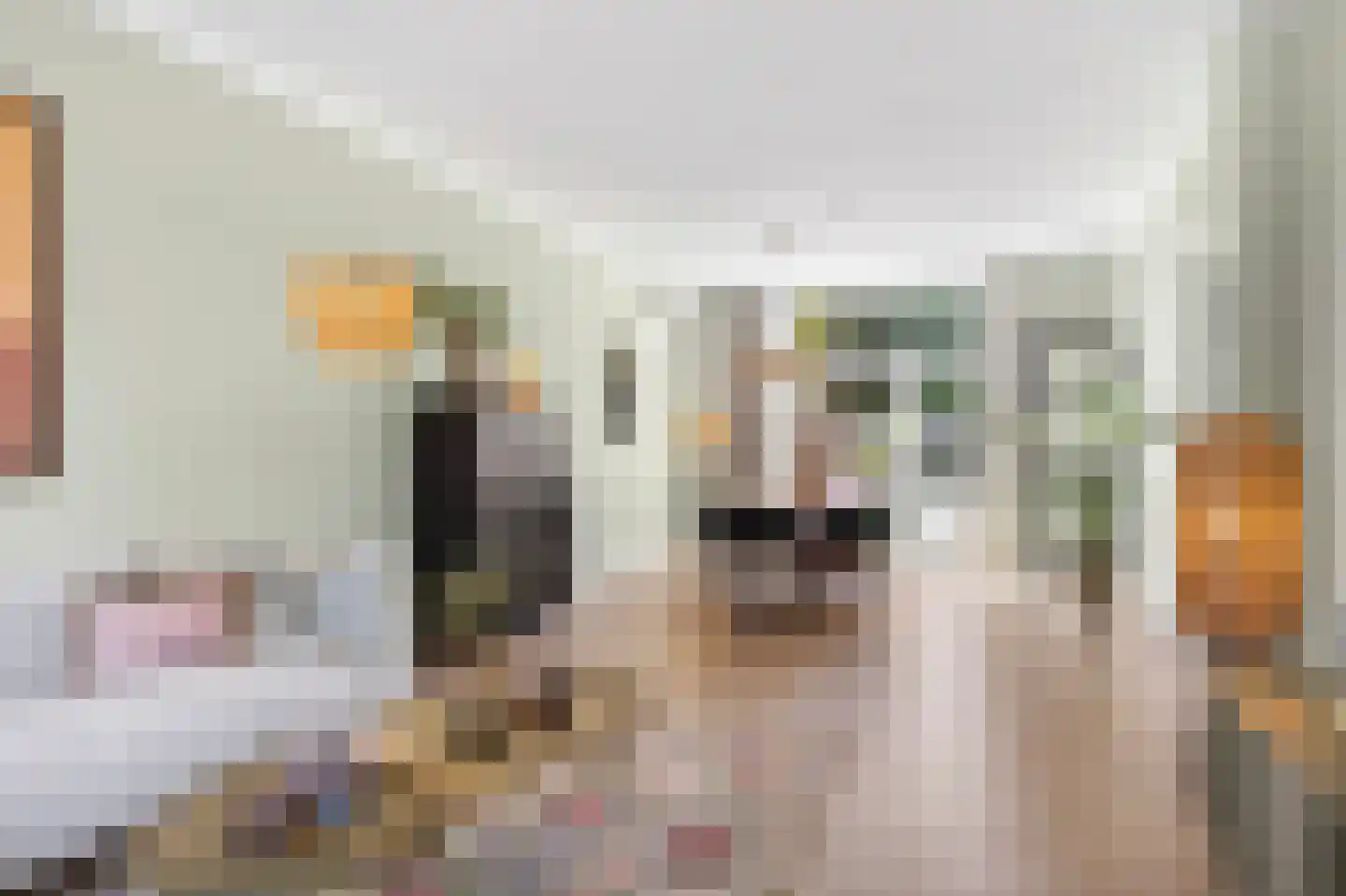 Dr. Schaepmanlaan 8 Enschede thumbnail 11