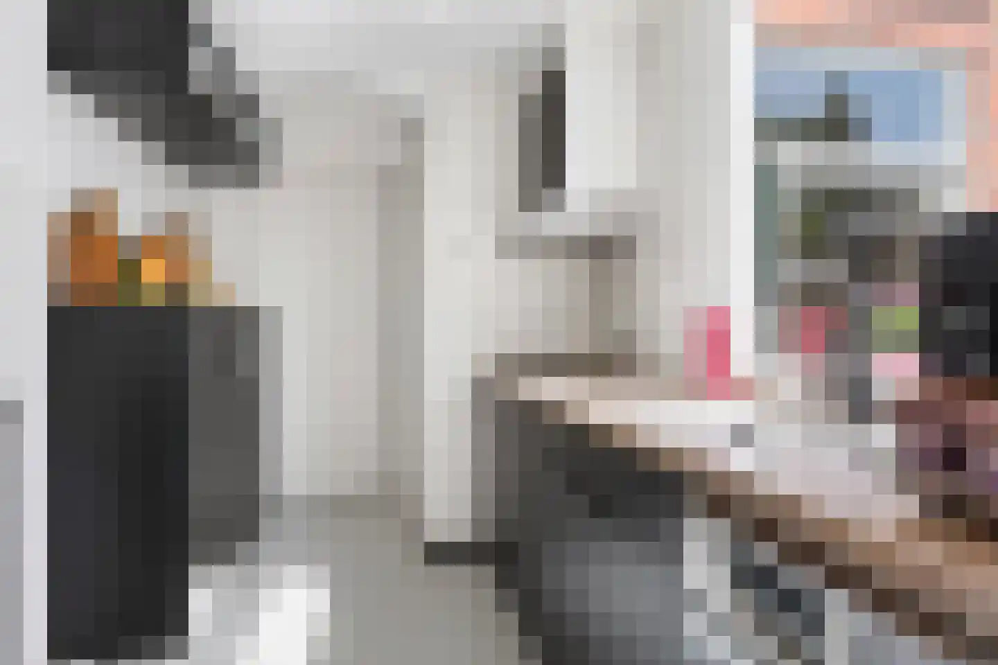 Dr. Schaepmanlaan 8 Enschede thumbnail 17