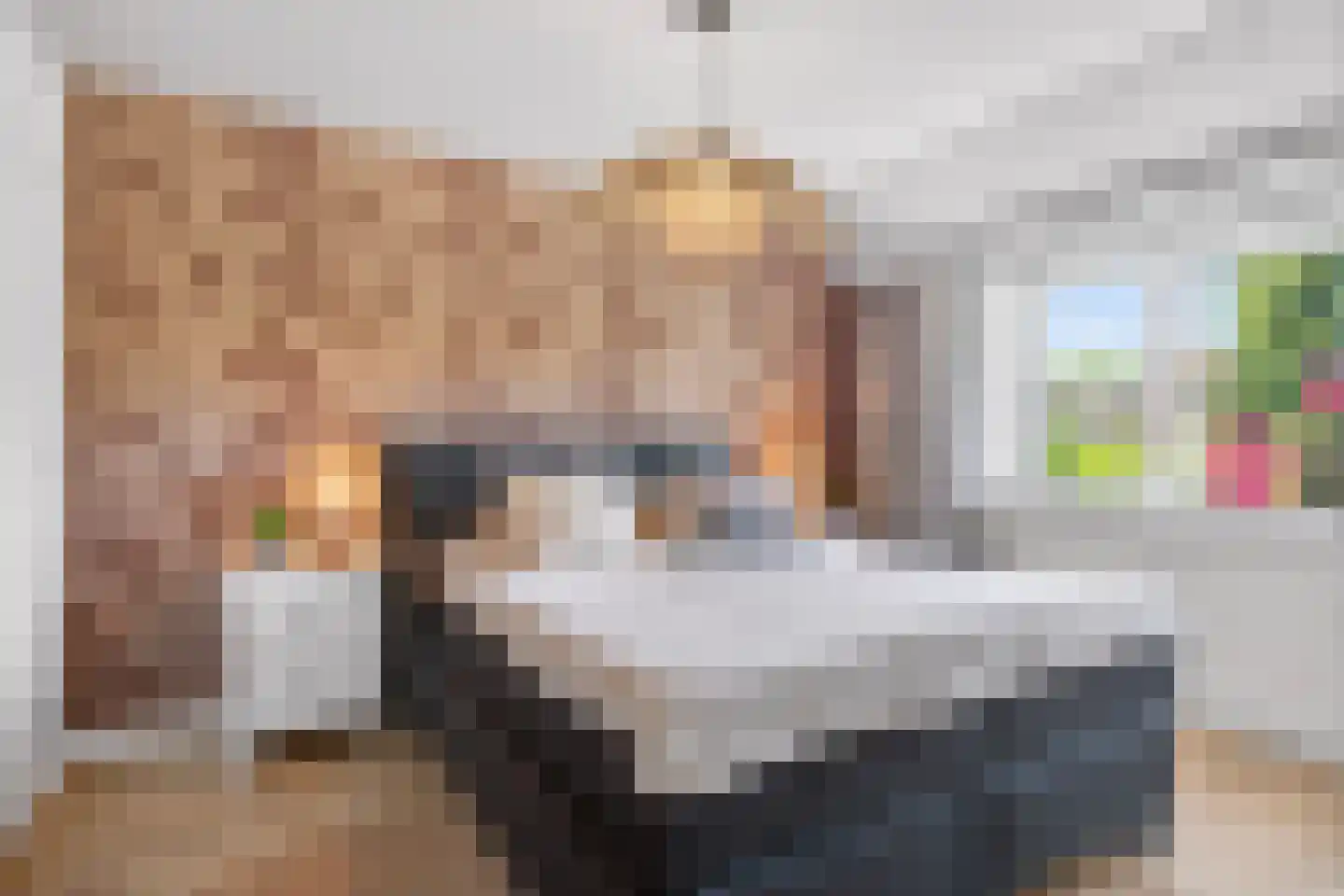 Dr. Schaepmanlaan 8 Enschede thumbnail 24