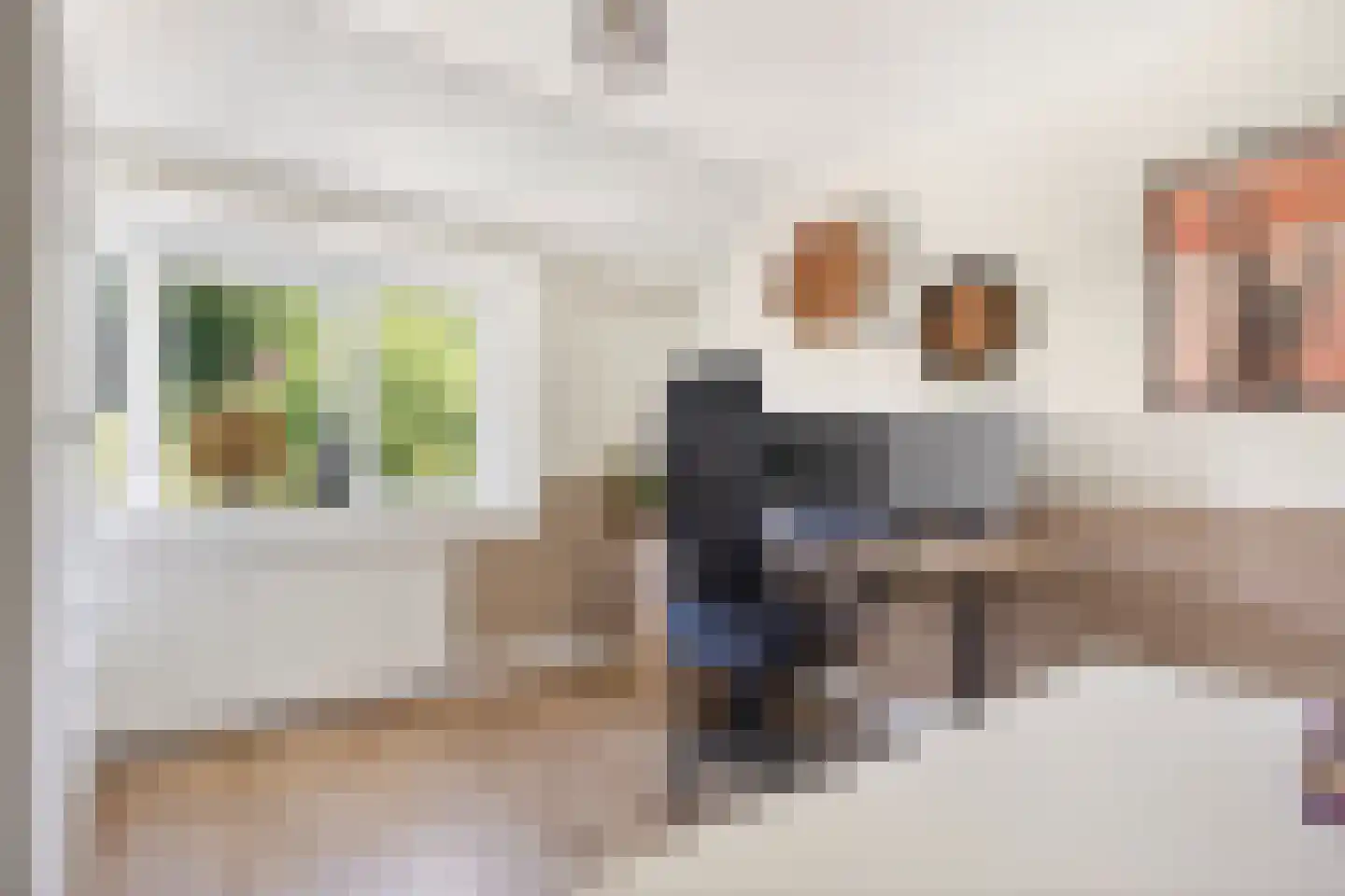 Dr. Schaepmanlaan 8 Enschede thumbnail 27