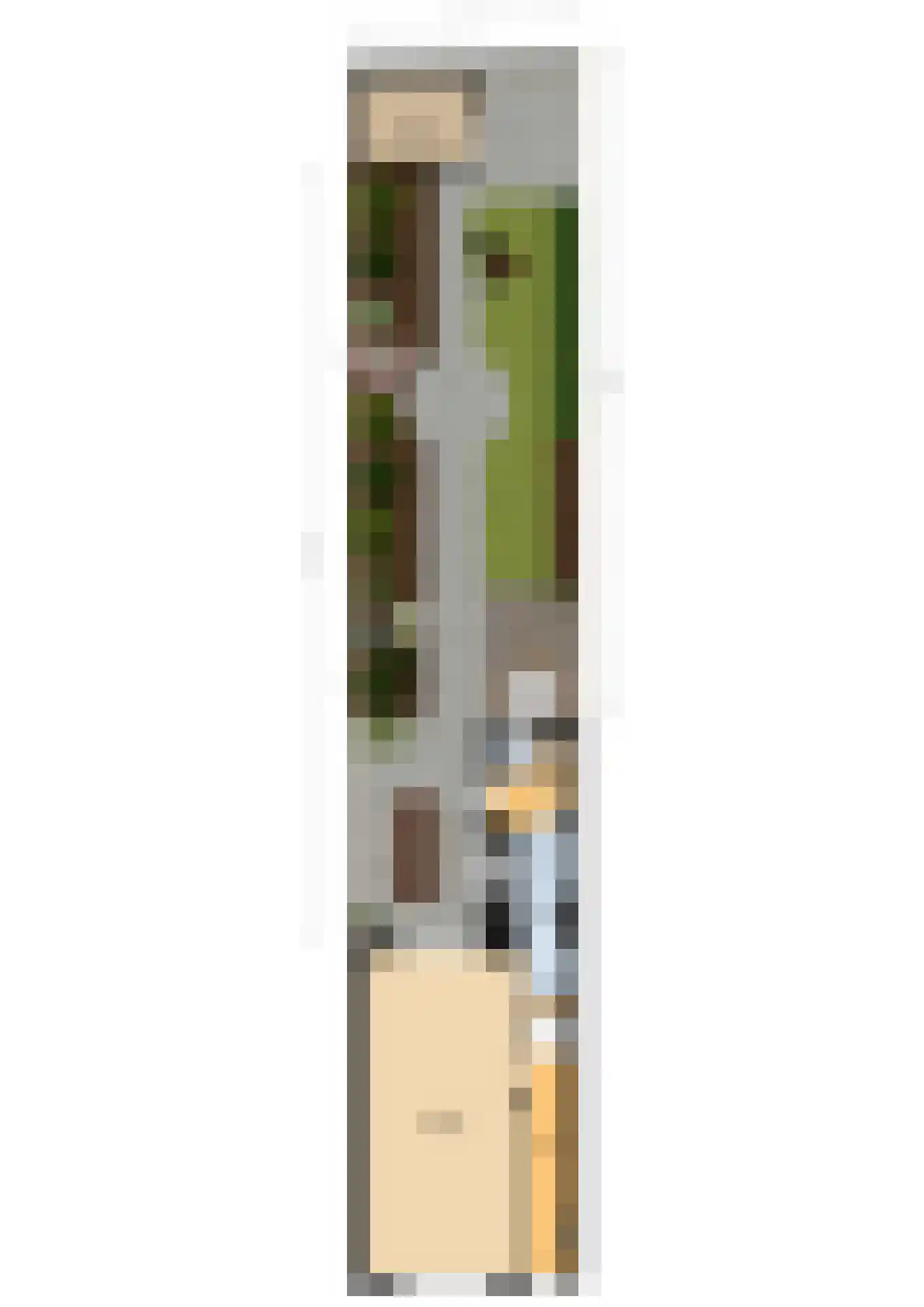 Dr. Schaepmanlaan 8 Enschede thumbnail 37