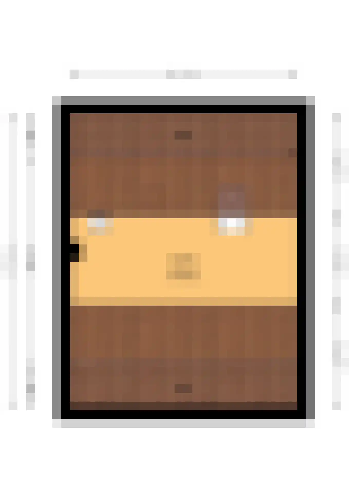 Dr. Schaepmanlaan 8 Enschede thumbnail 39