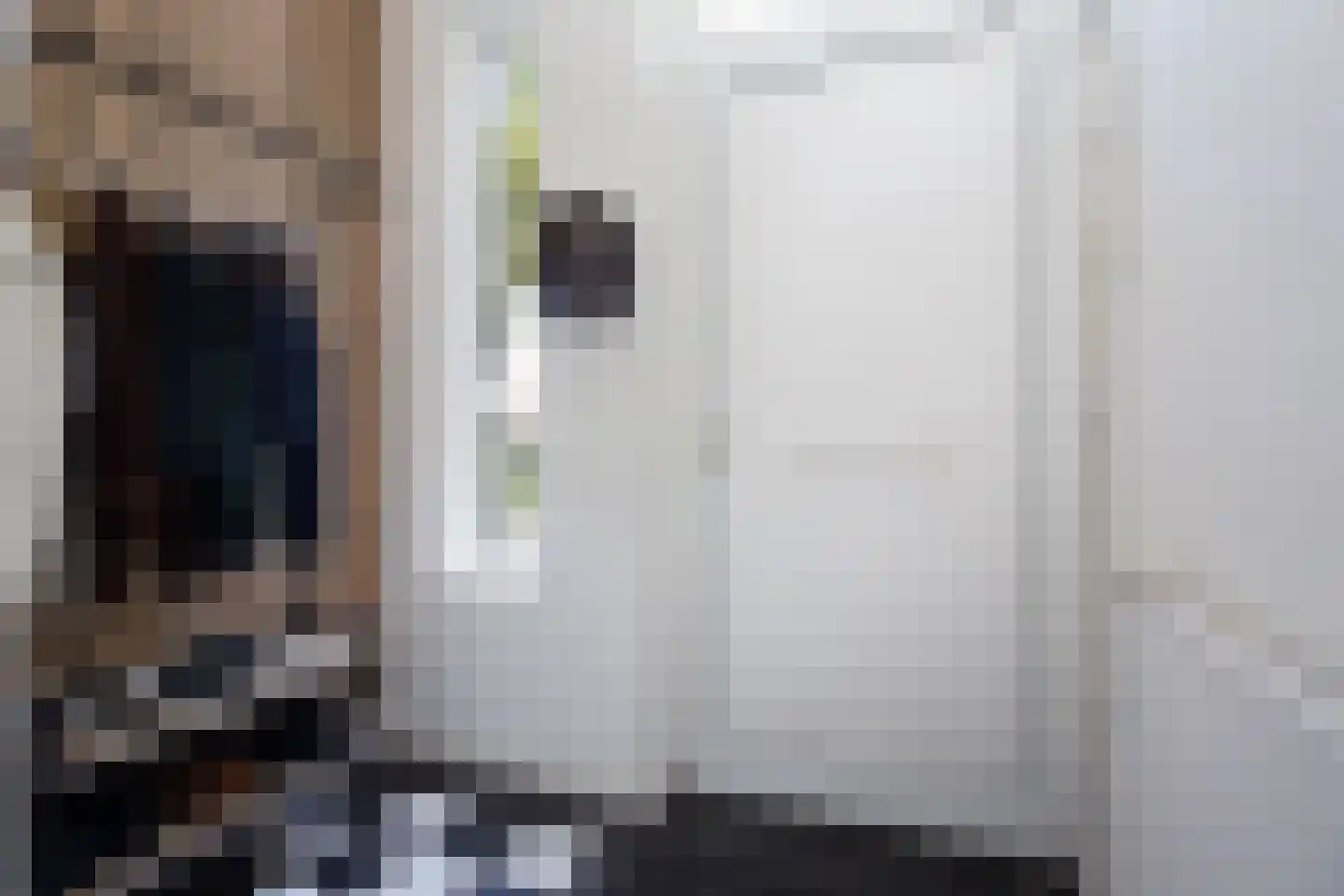 Dr. Schaepmanlaan 8 Waalwijk thumbnail 6