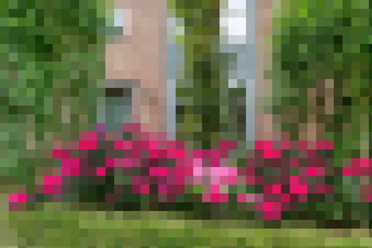 Dr. Schaepmanplantsoen 7 Helmond foto 2
