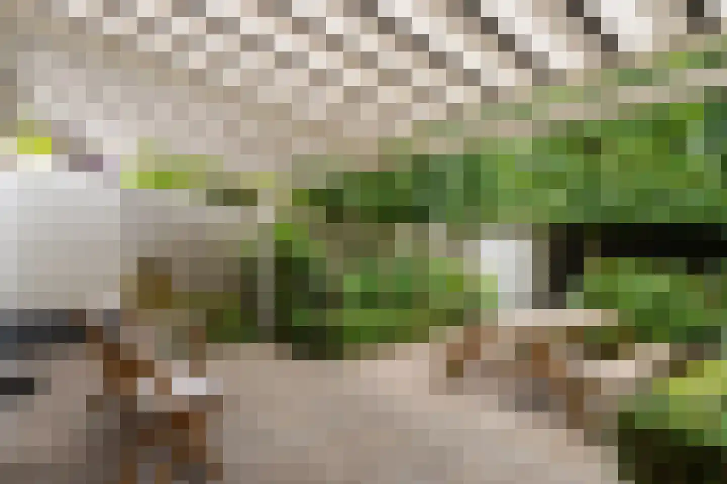 Dr. Schaepmanplantsoen 7 Helmond thumbnail 26