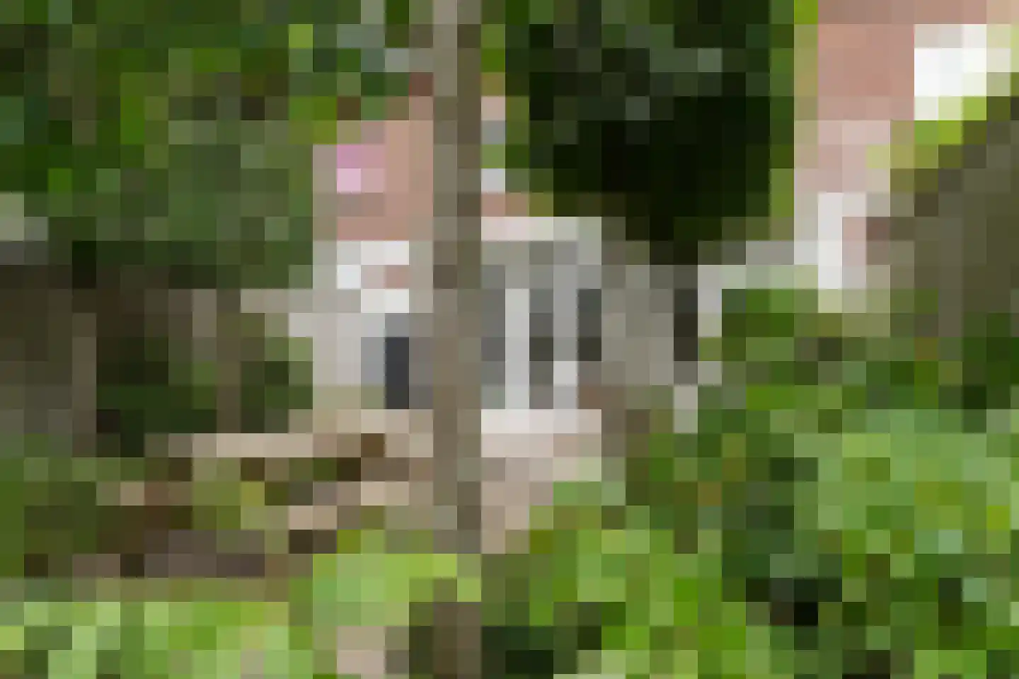 Dr. Schaepmanplantsoen 7 Helmond thumbnail 27
