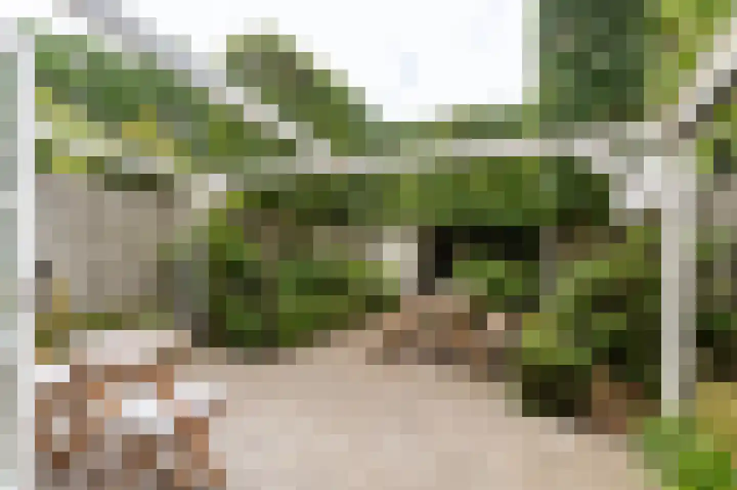 Dr. Schaepmanplantsoen 7 Helmond thumbnail 29