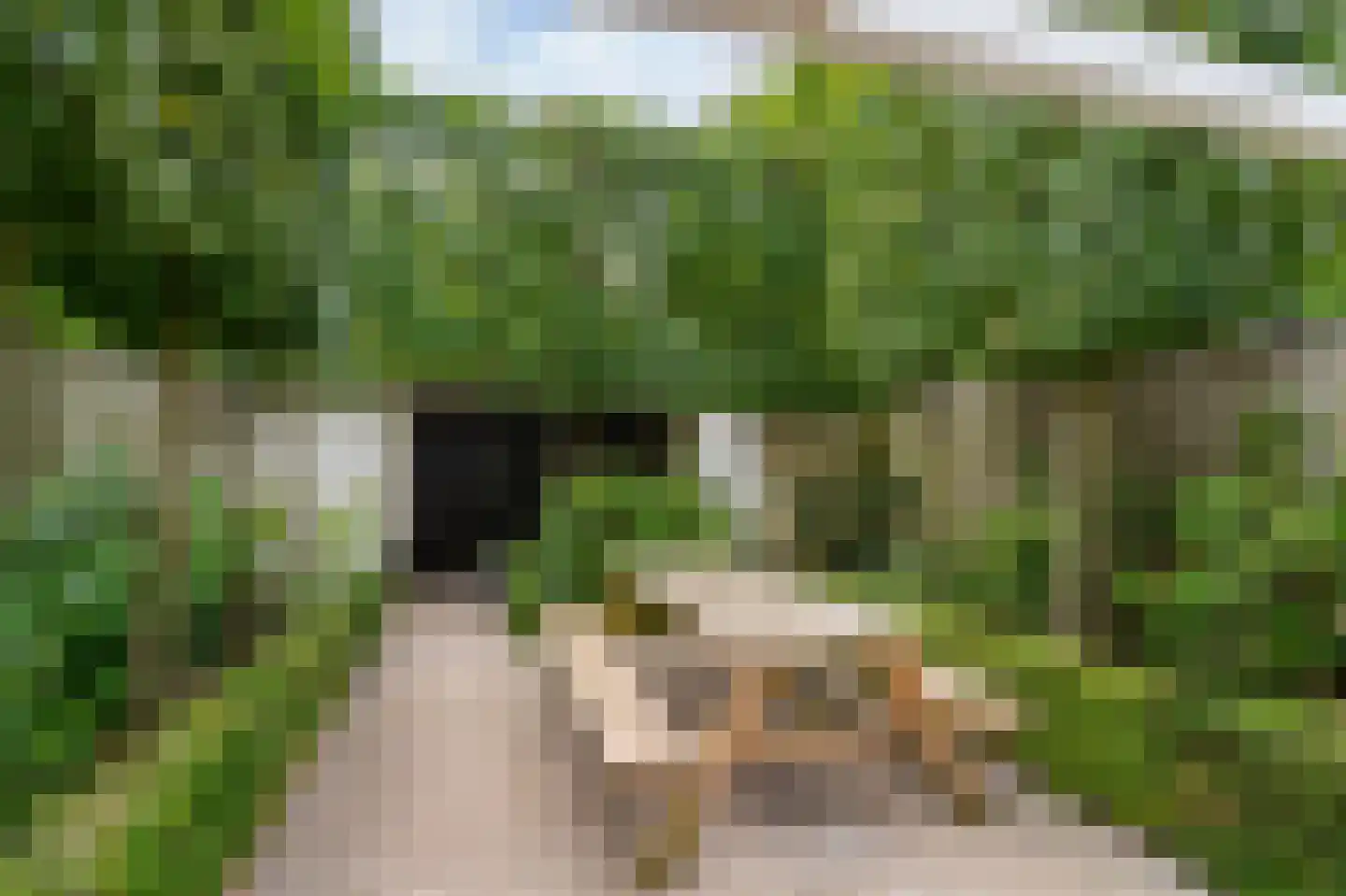 Dr. Schaepmanplantsoen 7 Helmond thumbnail 30