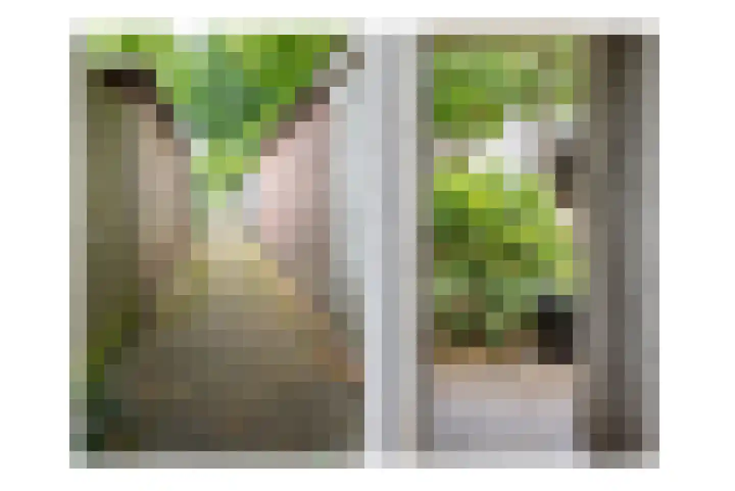 Dr. Schaepmanplantsoen 7 Helmond thumbnail 31